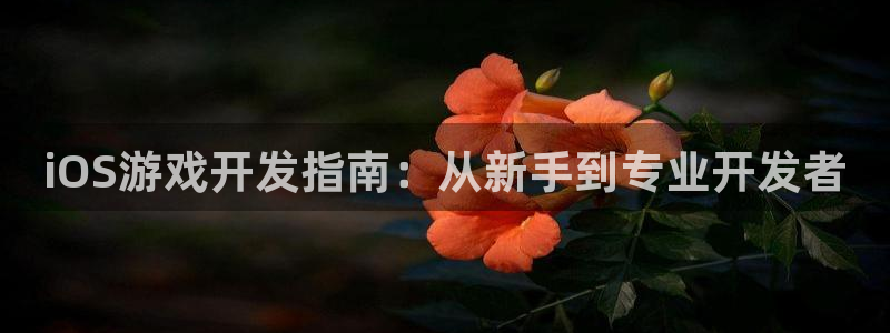 沐鸣娱乐2官方网站注册链接