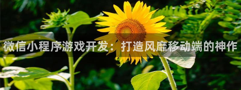 沐鸣娱乐2登入