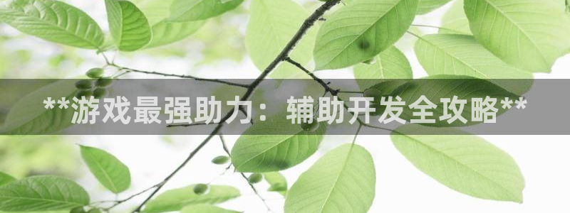 沐鸣2官网网址