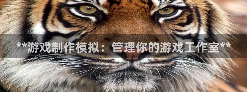 首页沐鸣2注册官网