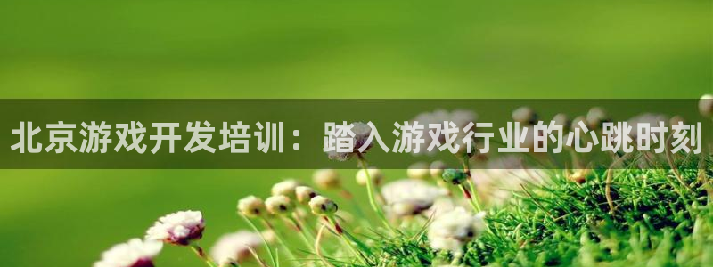 沐鸣2手机网页版