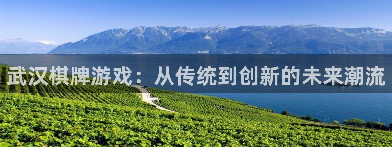 沐鸣娱乐2测速：武汉棋牌游戏：从传统到创新的未来潮流