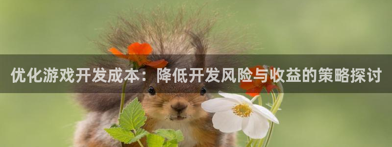 沐鸣娱乐2官方网站：优化游戏开发成本：降低开发风险与收益的策略探讨