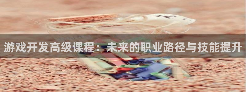 沐鸣娱乐2l怎么样：游戏开发高级课程：未来的职业路径与技能提升