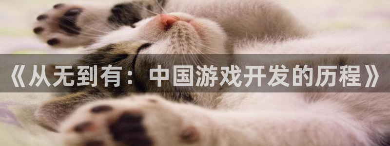 沐鸣娱乐2输钱了：《从无到有：中国游戏开发的历程》