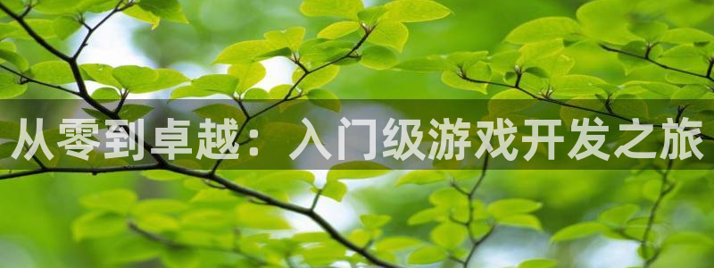 沐鸣2产7O777：从零到卓越：入门级游戏开发之旅
