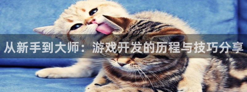 沐鸣娱乐2登录：从新手到大师：游戏开发的历程与技巧分享