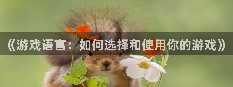 沐鸣2注册登录地址：《游戏语言：如何选择和使用你的游戏》