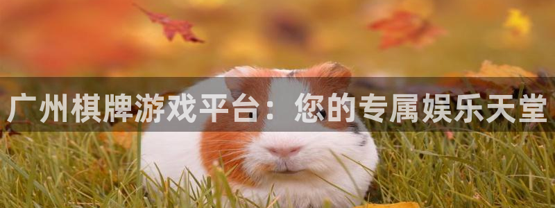 沐鸣2娱乐平台登录：广州棋牌游戏平台：您的专属娱乐天堂