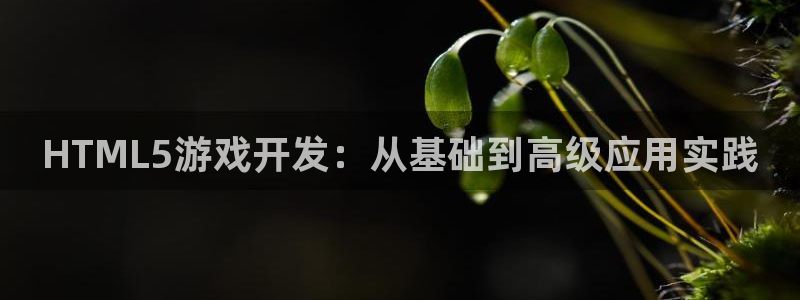 沐鸣2注册连接：HTML5游戏开发：从基础到高级应用实践