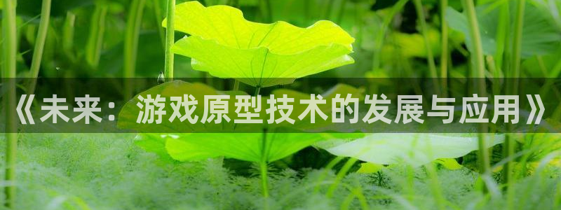 沐鸣2账号注册：《未来：游戏原型技术的发展与应用》
