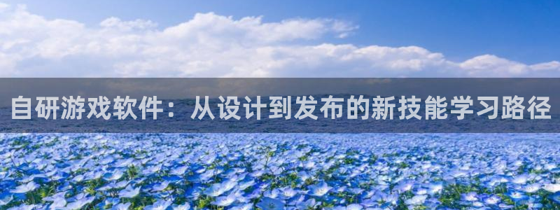 沐鸣2在线登录注册：自研游戏软件：从设计到发布的新技能学习路径