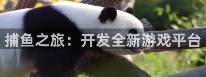 沐鸣2输钱能要回来吗