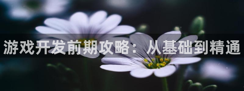 沐鸣娱乐2代理：游戏开发前期攻略：从基础到精通