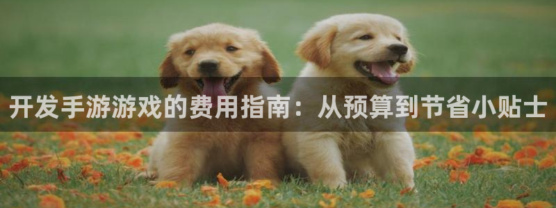 沐鸣2官方注册：开发手游游戏的费用指南：从预算到节省小贴士