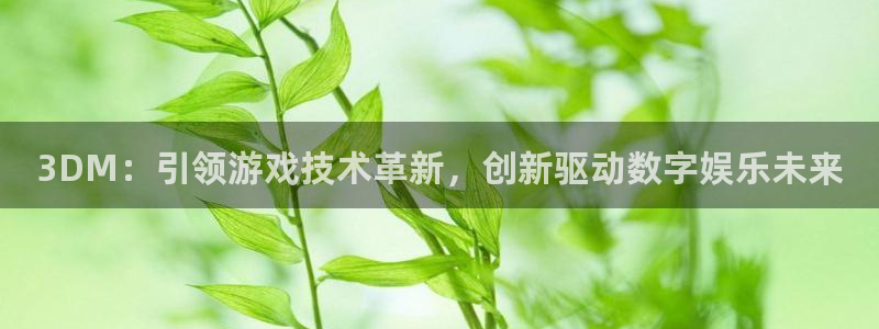 沐鸣娱乐2官网网址是多少：3DM：引领游戏技术革新，创新驱动数字娱乐未来