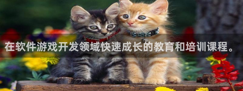 沐鸣娱乐2是干嘛的：在软件游戏开发领域快速成长的教育和培训课程。