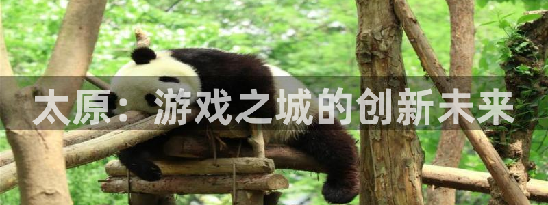 沐鸣2娱乐平台登录客服