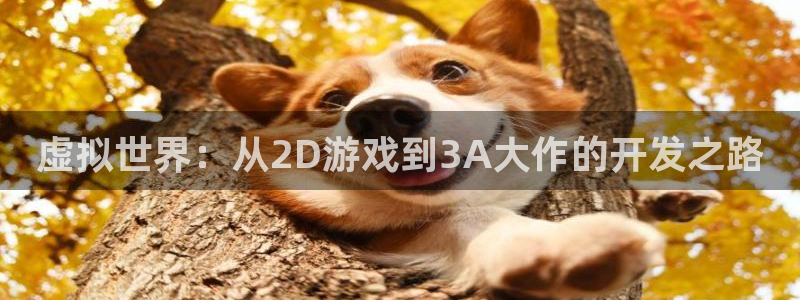 沐鸣2主管：虚拟世界：从2D游戏到3A大作的开发之路