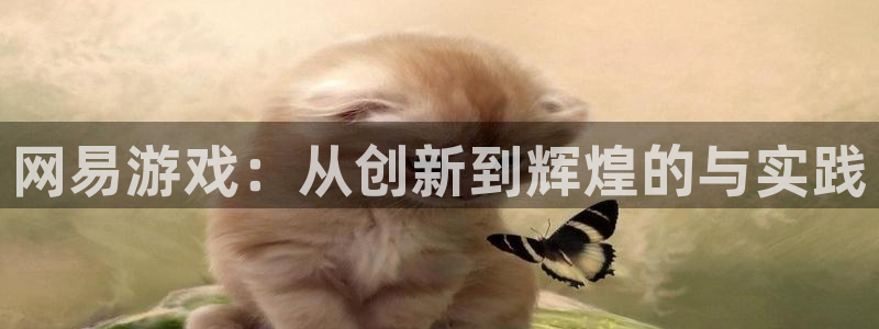 沐鸣2选 37OO735：网易游戏：从创新到辉煌的与实践
