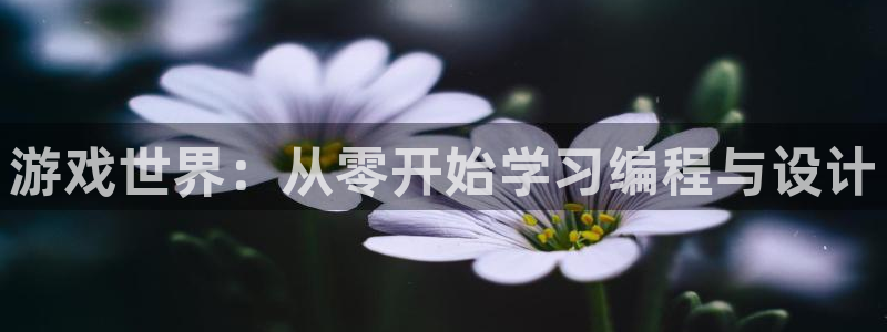 沐鸣2娱乐平台注册