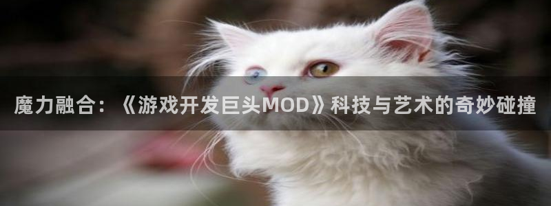 沐鸣2主管