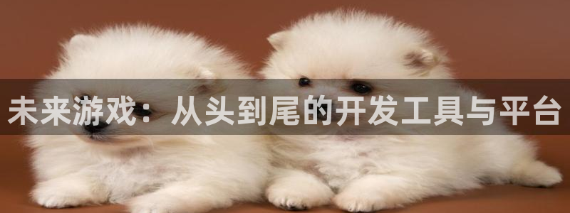 沐鸣2撤35994还和：未来游戏：从头到尾的开发工具与平台