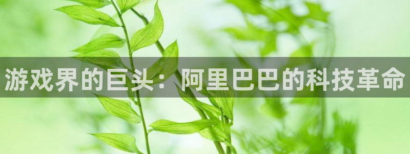 沐鸣2选 37OO735