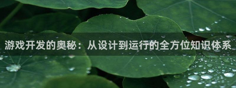 沐鸣娱乐2注册官网：游戏开发的奥秘：从设计到运行的全方位知识体系