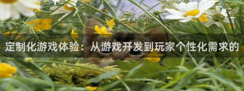 沐鸣娱乐2注册地址