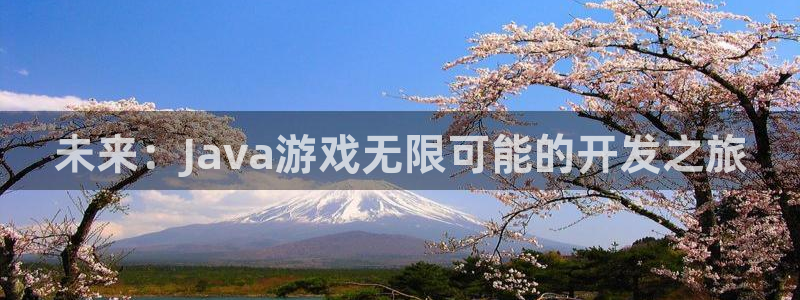沐鸣娱乐2注册官网：未来：Java游戏无限可能的开发之旅